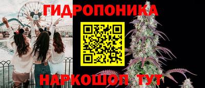 трава Балахна