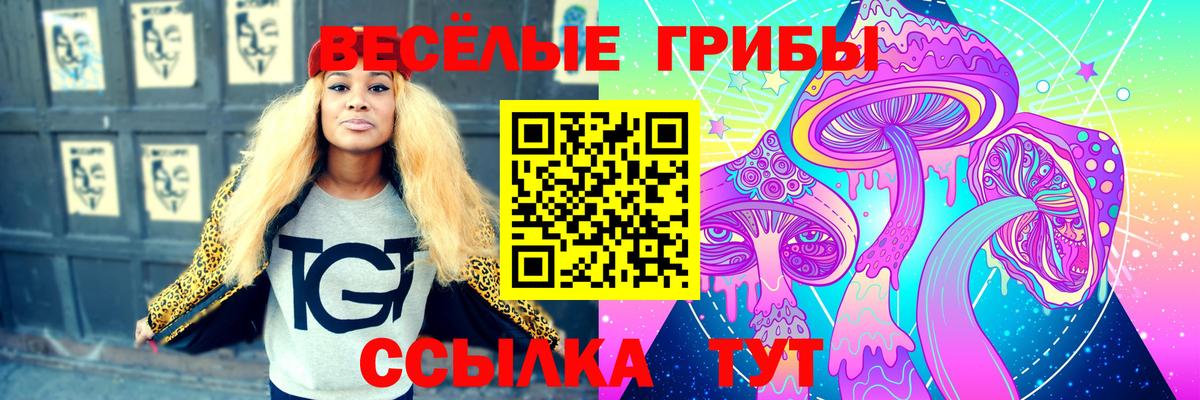 Псилоцибиновые грибы Cubensis  Вход с VPN  Гусиноозёрск 